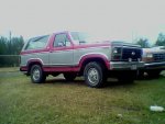 My_82_Ford_Bronco.jpg