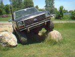 Bronco_on_a_Rock.jpg