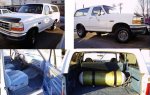 Bronco_composite.JPG