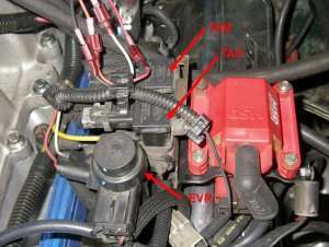 tab-tad-evr-coil2a.jpg tab-tad-evr-coil2a.jpg