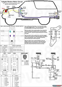 wmtgmotorwiring.jpg