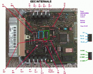 eec085.gif