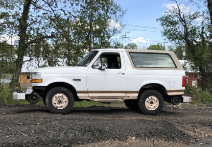 Bronco in Enfield CNERR 5-15-21.jpg