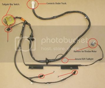 TailgateHarness.jpg