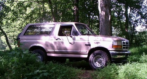 bronco-in-woods.jpg