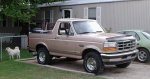 bronco_2_.jpg