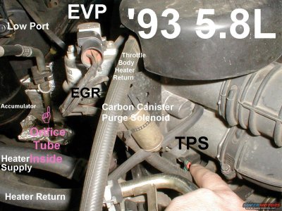 5.8l-throttle.jpg