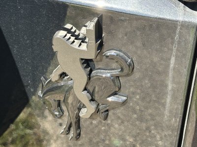 IMG_3082.jpeg