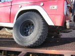 Flex0505_b.jpg