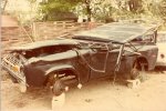 DeadBronco_005.jpg