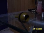 100_1119.JPG
