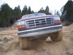 3026045_9_full.jpeg