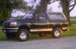Awesome_Bronco_smaller_version.jpg