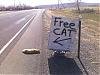 freecat.jpg freecat.jpg