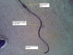 GroundCable_91_Bronco_122410.JPG GroundCable_91_Bronco_122410.JPG
