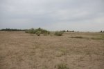_MG_2075_resize.jpg