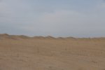 _MG_2229_resize.jpg