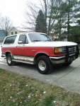 Bronco3.jpg